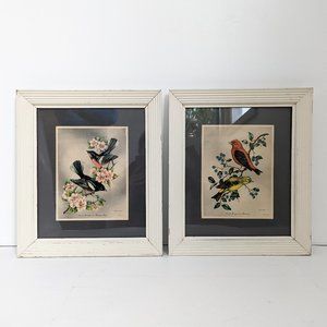 Pair of Framed Vintage Bird Lithographs by Vincent